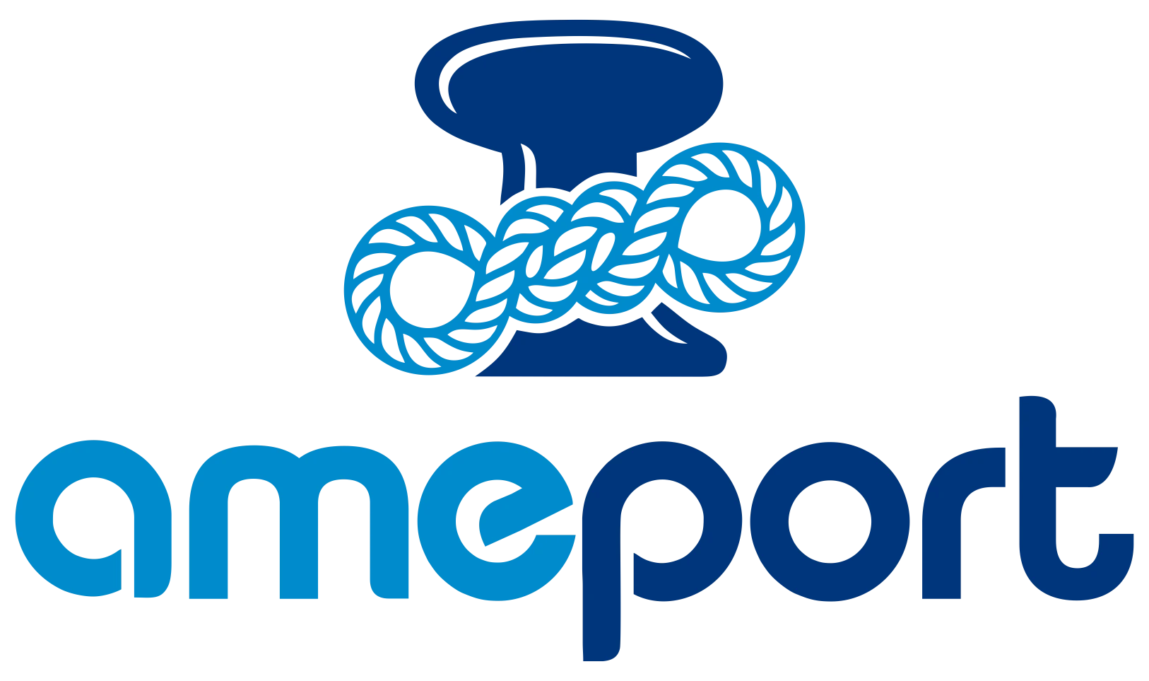 Logo AMEPORT